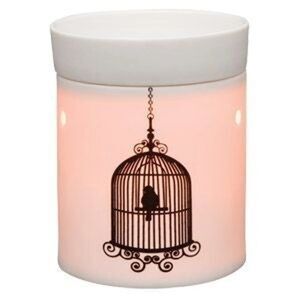 ▪︎New! Finch Wax Warmer